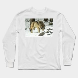 Eastern Gray Wolf Long Sleeve T-Shirt